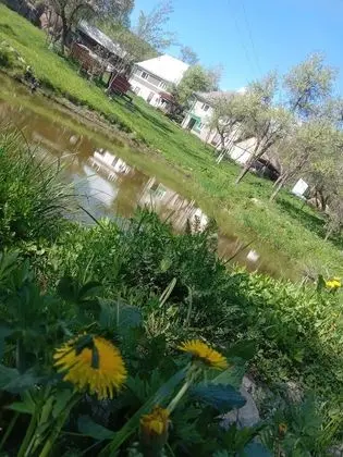 Oda, 1 Yatak Odası, Veranda