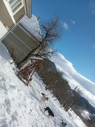 Oda, 1 Yatak Odası, Veranda