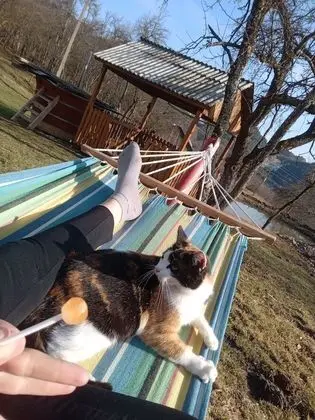 Oda, 1 Yatak Odası, Veranda