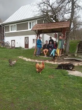 Oda, 1 Yatak Odası, Veranda