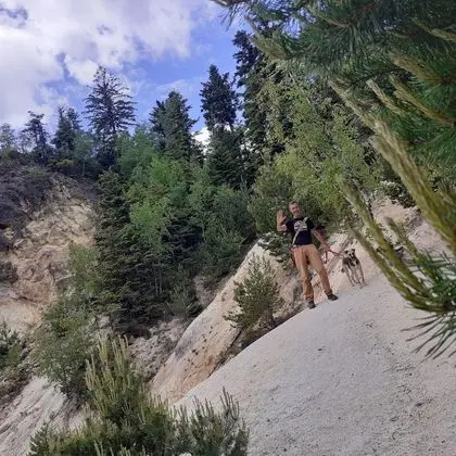 Oda, 1 Yatak Odası, Veranda