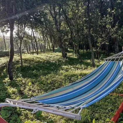 Oda, 1 Yatak Odası, Veranda