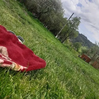 Oda, 1 Yatak Odası, Veranda