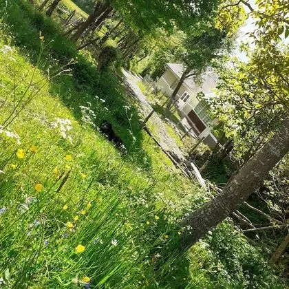 Oda, 1 Yatak Odası, Veranda