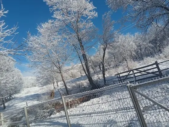 Oda, 1 Yatak Odası, Veranda