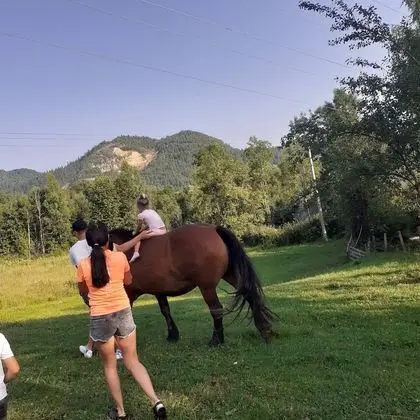 Oda, 1 Yatak Odası, Veranda