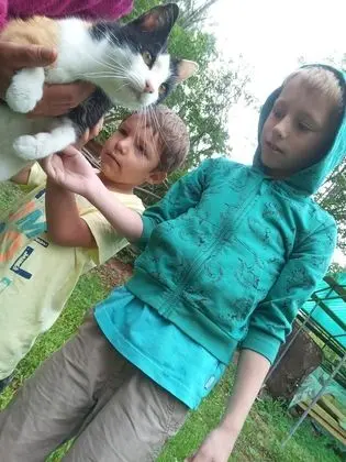 Oda, 1 Yatak Odası, Veranda