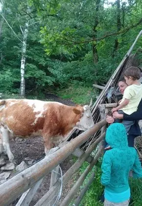 Oda, 1 Yatak Odası, Veranda