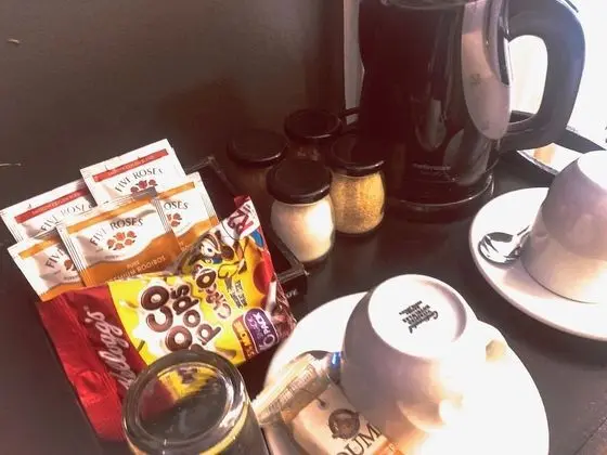 Standard Büyük Yataklı Tek Kişilik Oda, Buzdolabı