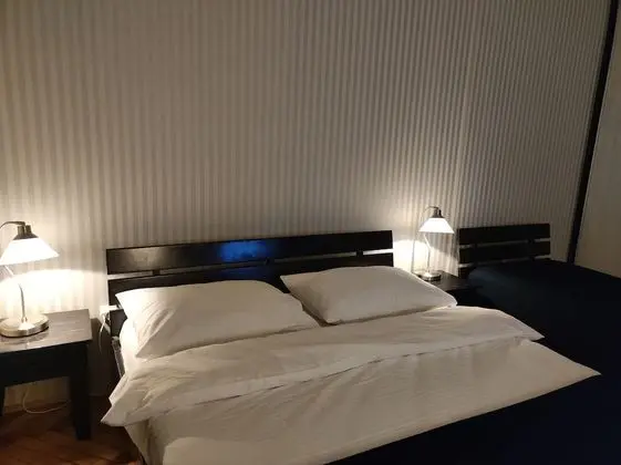 Deluxe Tek Büyük veya İki Ayrı Yataklı Oda, Birden Çok Yatak, Banyolu/Duşlu (Shared Apartment)