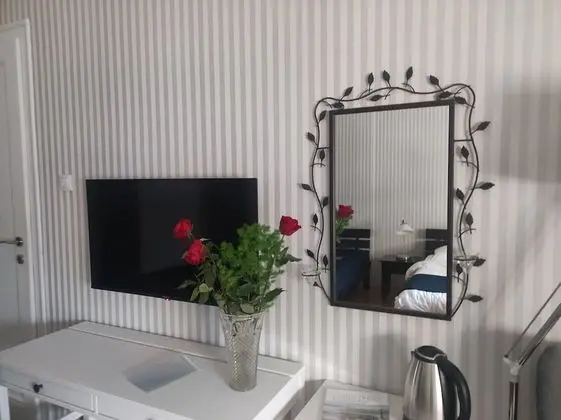 Deluxe Tek Büyük veya İki Ayrı Yataklı Oda, Birden Çok Yatak, Banyolu/Duşlu (Shared Apartment)
