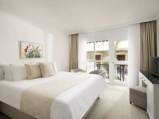 Standard Tek Büyük veya İki Ayrı Yataklı Oda, Balkon