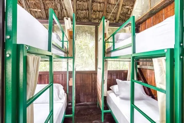 Bed in 4-Bed Community Room