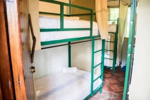 Bed in 6-Bed Community Room