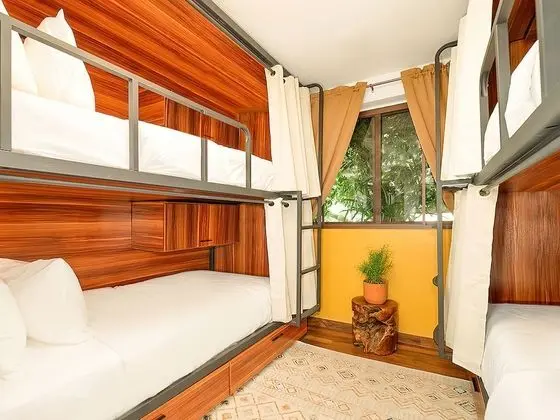 Bed in 4-Bed Dormitory Room