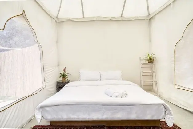 Glamping Standard