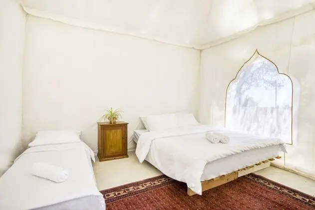 Glamping Standard