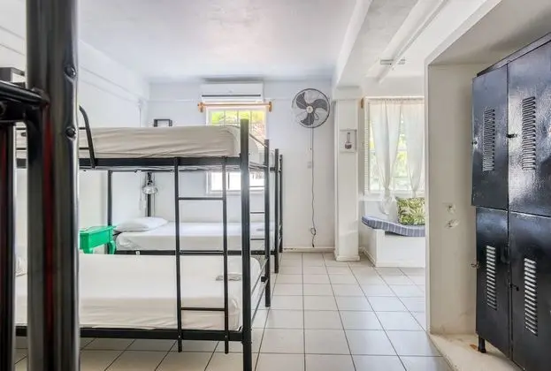 Bed in 4-Bed Dormitory Room