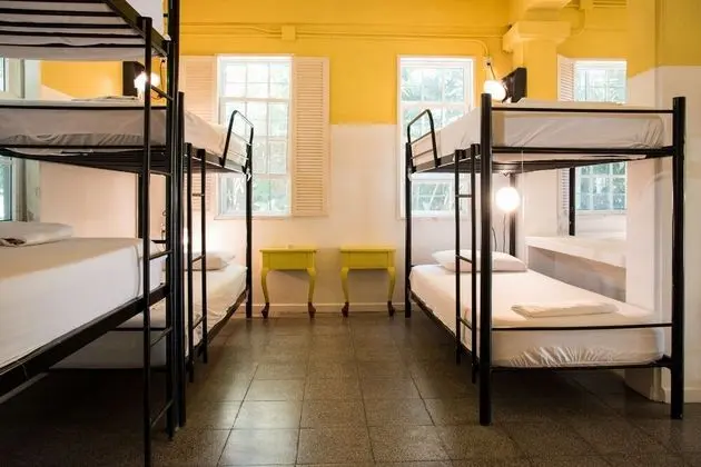 Bed in 8-Bed Dormitory Room