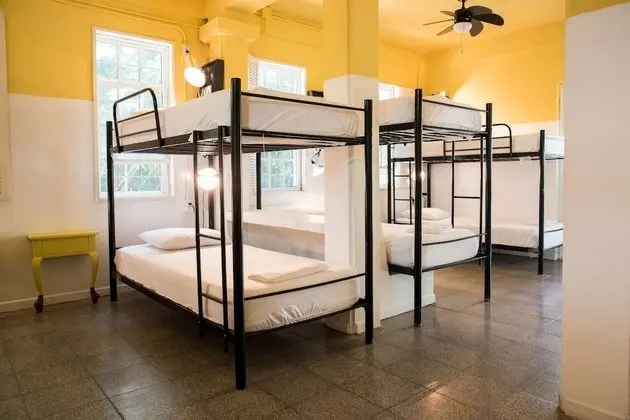 Bed in 8-Bed Dormitory Room