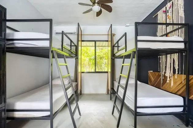 Bed in 4-Bed Dormitory Room