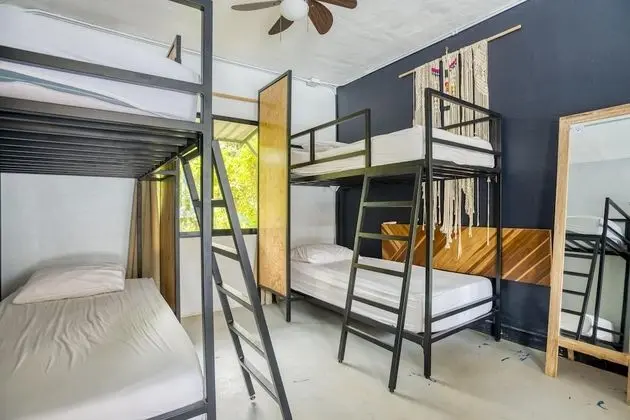 Bed in 4-Bed Dormitory Room
