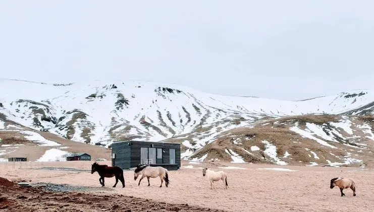 Kır Evi, 1 Büyük (Queen) Boy Yatak ve Çekyat