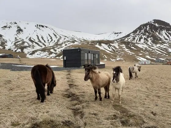 Kır Evi, 1 Büyük (Queen) Boy Yatak ve Çekyat