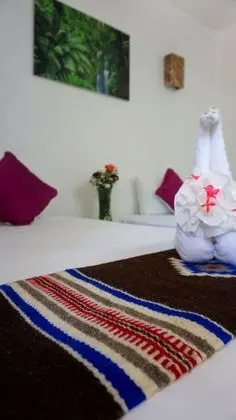 Basic Stüdyo