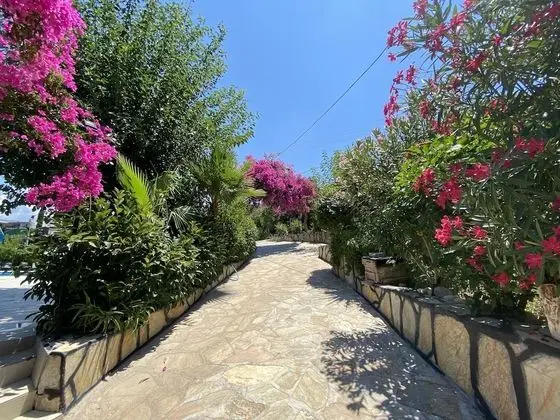 Panoramic Tek Büyük veya İki Ayrı Yataklı Oda