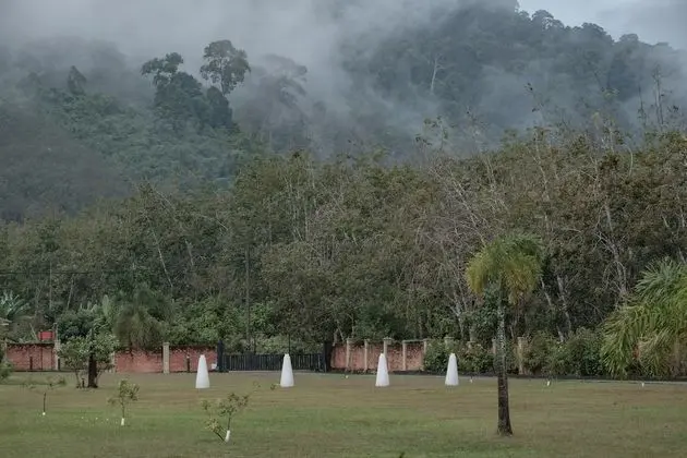 Villa Rainforest
