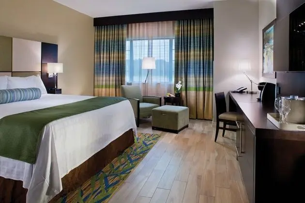 Deluxe Oda, 1 En Büyük (King) Boy Yatak