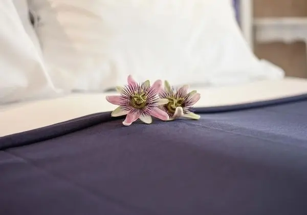 Tek Büyük Yataklı Oda, Balkon