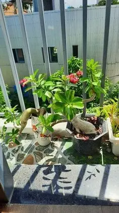 Standard Tek Büyük Yataklı Oda, 1 En Büyük (King) Boy Yatak, Şehir Manzaralı, Avlu