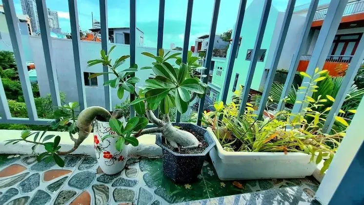 Standard Tek Büyük Yataklı Oda, 1 En Büyük (King) Boy Yatak, Şehir Manzaralı, Avlu