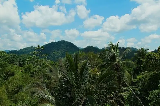 Deluxe Tek Büyük Yataklı Oda, 2 Tek Kişilik Yatak, Dağ Manzaralı