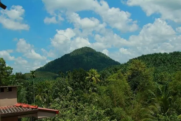 Deluxe Üç Kişilik Oda, 2 Çift Kişilik Yatak, Dağ Manzaralı