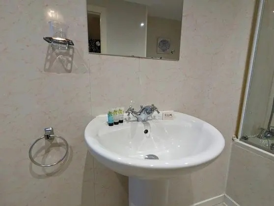 Deluxe Tek Büyük Yataklı Oda, Banyolu/Duşlu