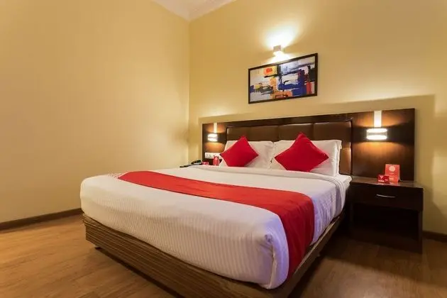 Deluxe Oda, 1 Yatak Odası, Şehir Manzaralı