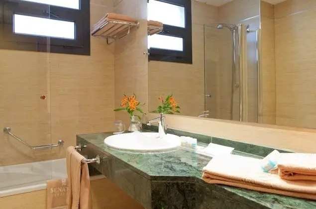 Superior Tek Büyük Yataklı Oda, 1 En Büyük (King) Boy Yatak