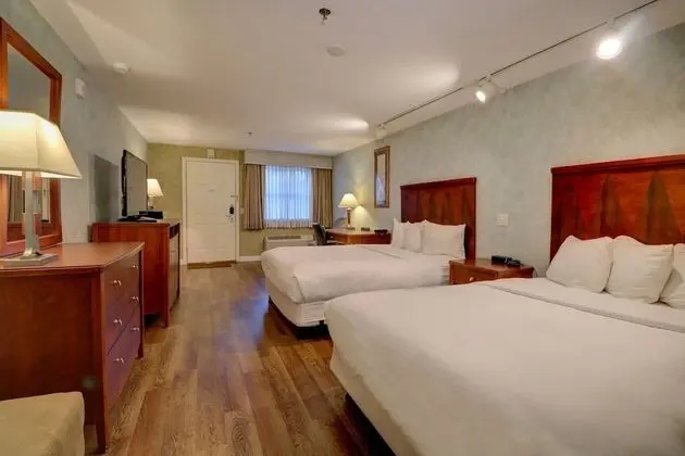 Deluxe Oda, 1 Yatak Odası