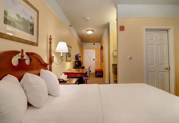 Deluxe Oda, 1 Yatak Odası