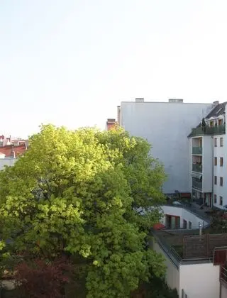 City Oda, Bahçe Manzaralı