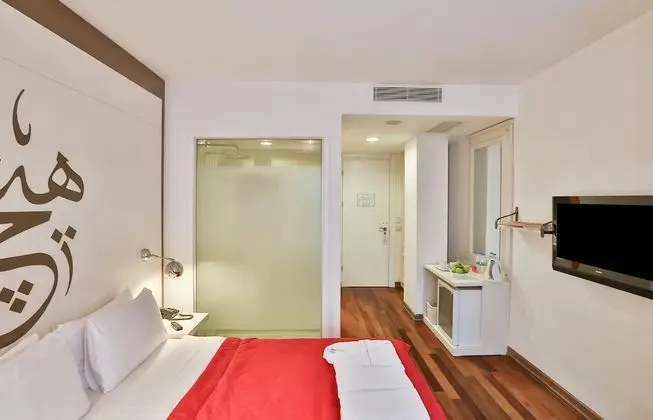 Basic Tek Büyük Yataklı Oda (Basement)
