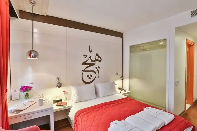 Basic Tek Büyük Yataklı Oda (Basement)