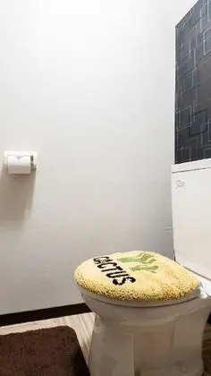 Ev