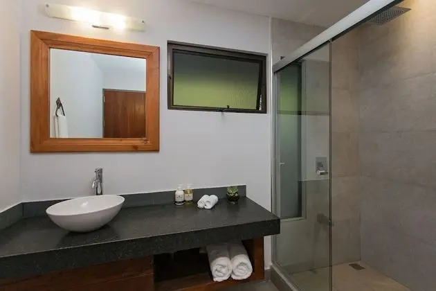 Premium Süit, 1 En Büyük (King) Boy Yatak ve Çekyat, Sigara İçilmez