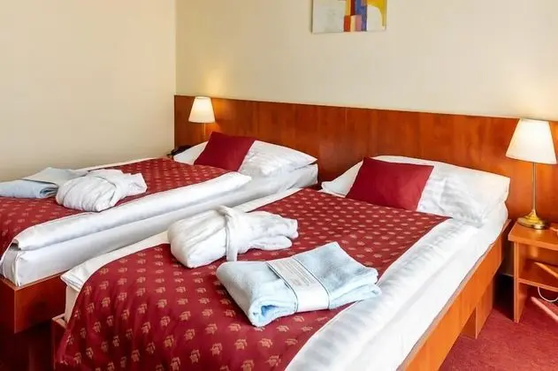 Basic Tek Büyük veya İki Ayrı Yataklı Oda, Balkon