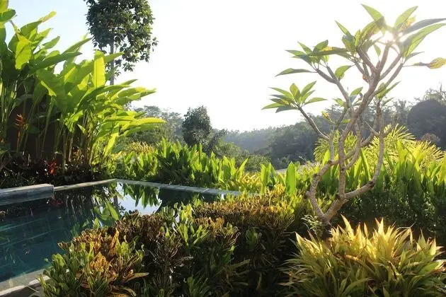 One Bedroom Pool Villa