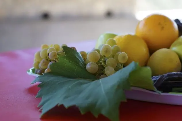 Ev (Senka1 - pure nature & serenity - H(2)